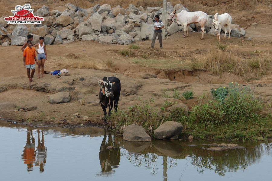 A classic picture of rural India...