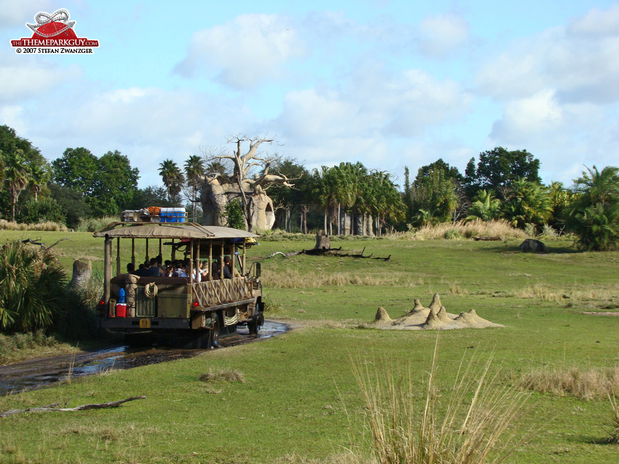 Animal Kingdom safari