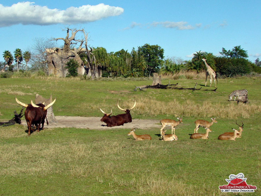 Real animals - this is an animatronic-free zone