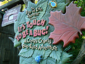 It's Tough to be a Bug! This is a fantastic, multidimensional movie experience