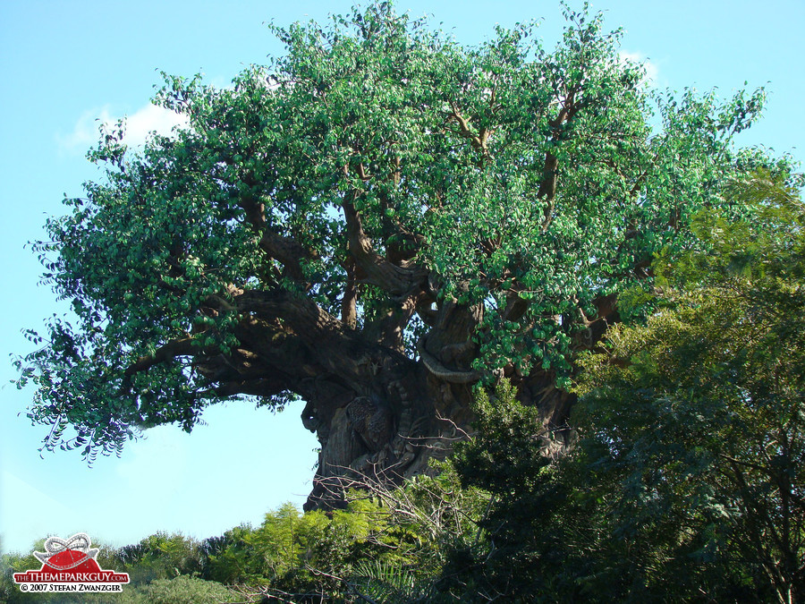 Tree of Life, the centerpiece of the park