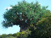 Tree of Life, the centerpiece of the park