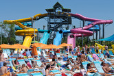 Aquatica sunbathers