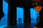 Lost Chambers aquarium