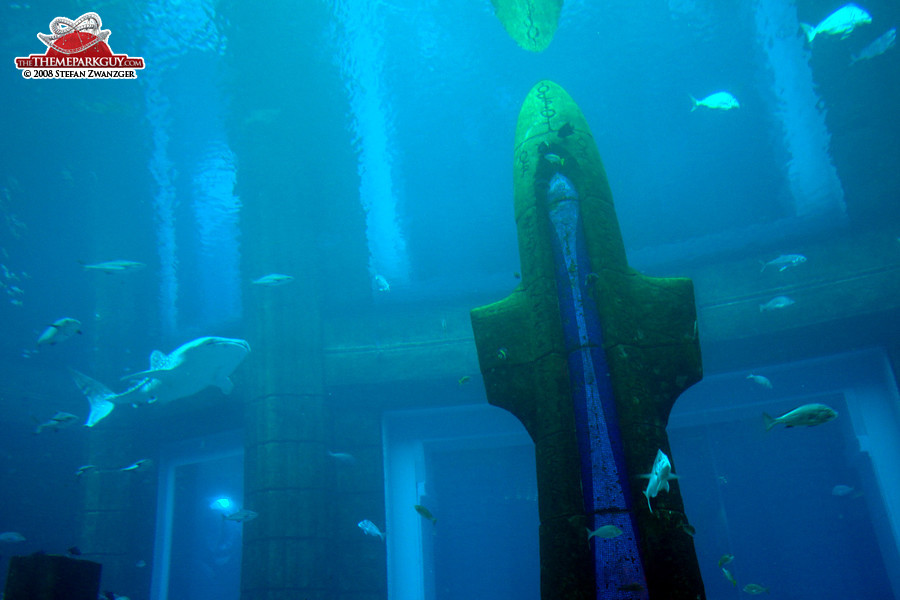 Whale shark in the tank