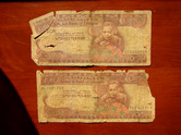 The currency that looks like the Mummy Ride