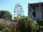 Ferris wheel behind the bushes