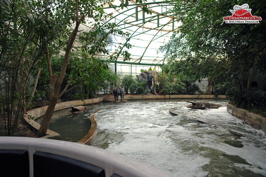 Indoor Jungle Cruise