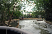 Indoor Jungle Cruise