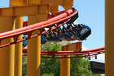 Specially-shaped suspended roller coaster