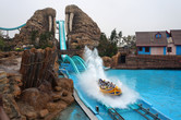 Walrus Splash!