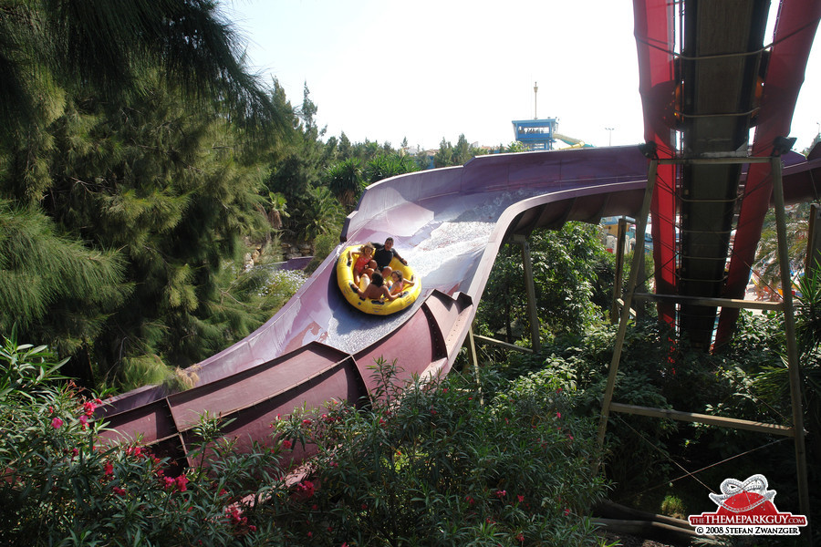 Rafting through the jungle