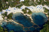 Discovery Cove dolphin pools