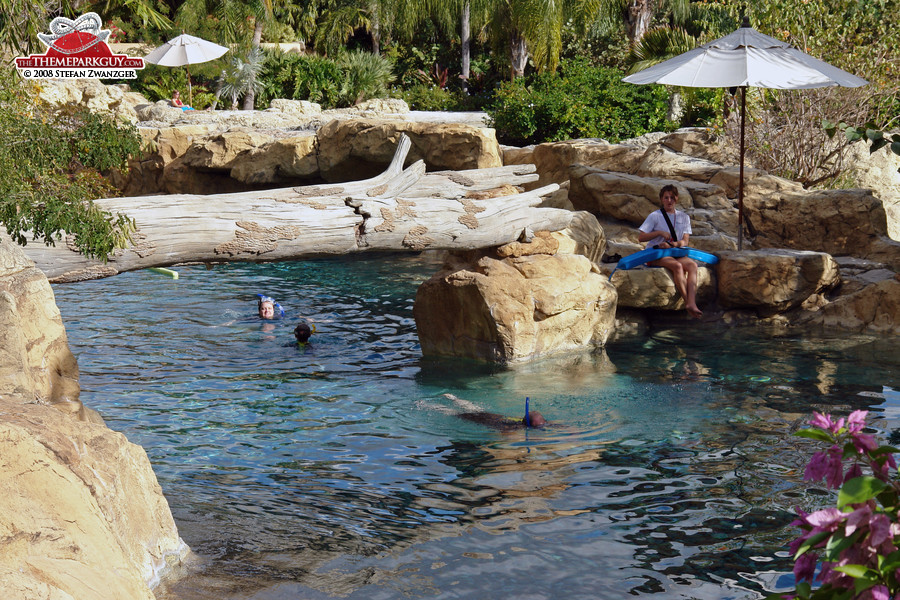 Discovery Cove pools