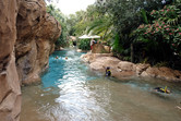 Discovery Cove by SeaWorld