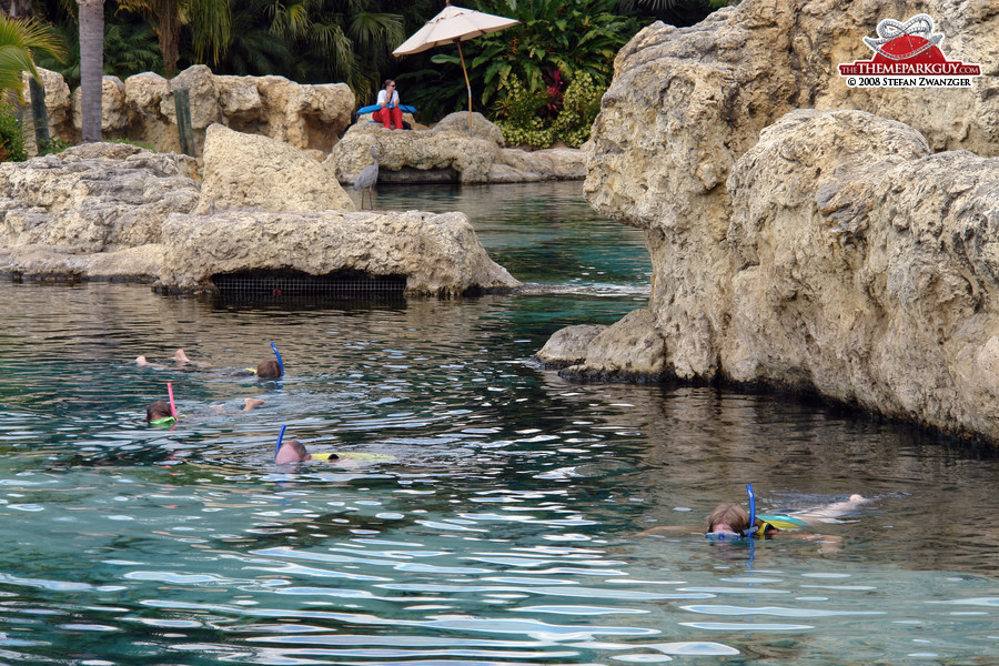 Snorkeling pool