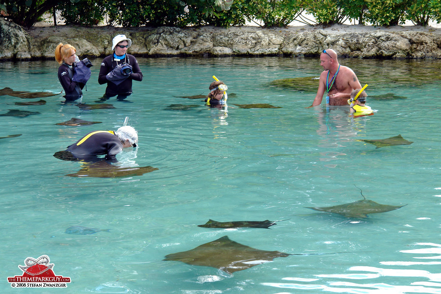 Swimming, snorkeling, touching