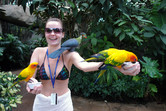 Parrot collectress