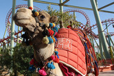 Coaster camel