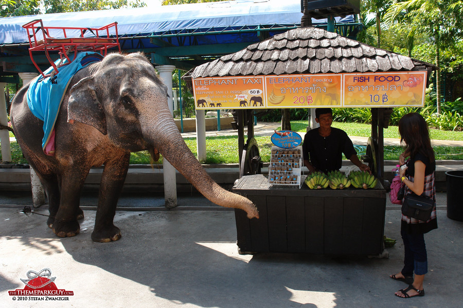 Dream World Bangkok Review