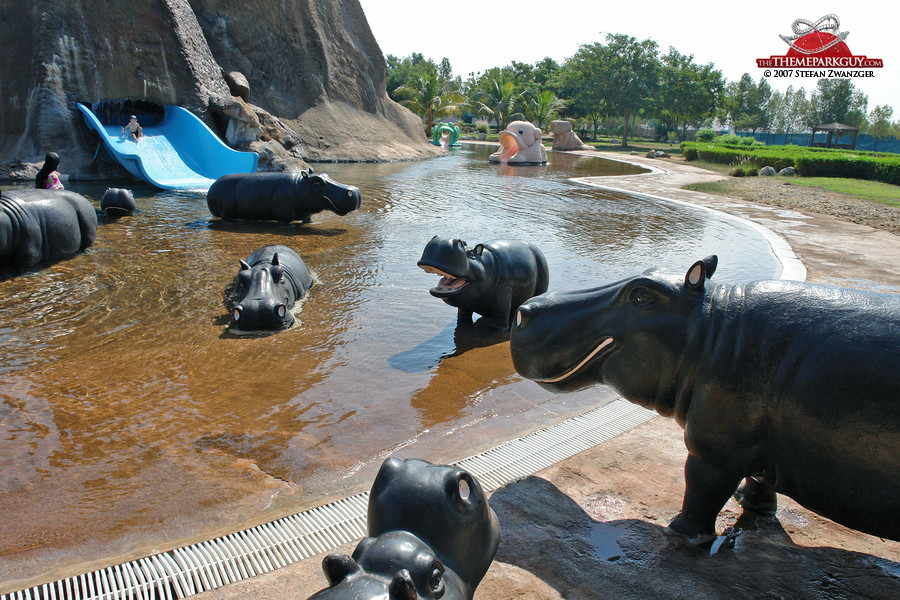 Hippos in the emirate of Umm al-Quain