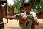 This croc's eyes say 'I really want to bite. Really.'