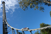 Tower of Terror coaster in action