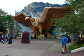 'Bird Rok' indoor roller coaster