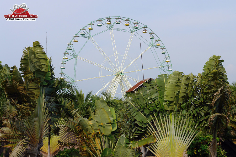 Enchanted Kingdom ferris wheel