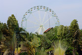 Enchanted Kingdom ferris wheel