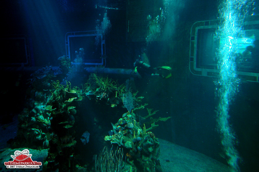 Living Seas aquarium