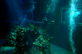 Living Seas aquarium