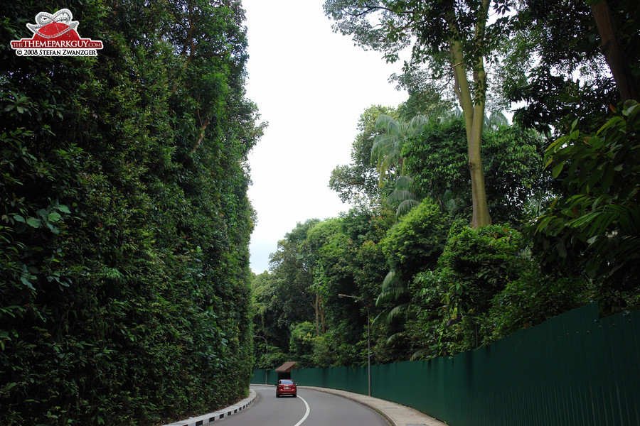 Sentosa road