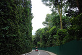 Sentosa road