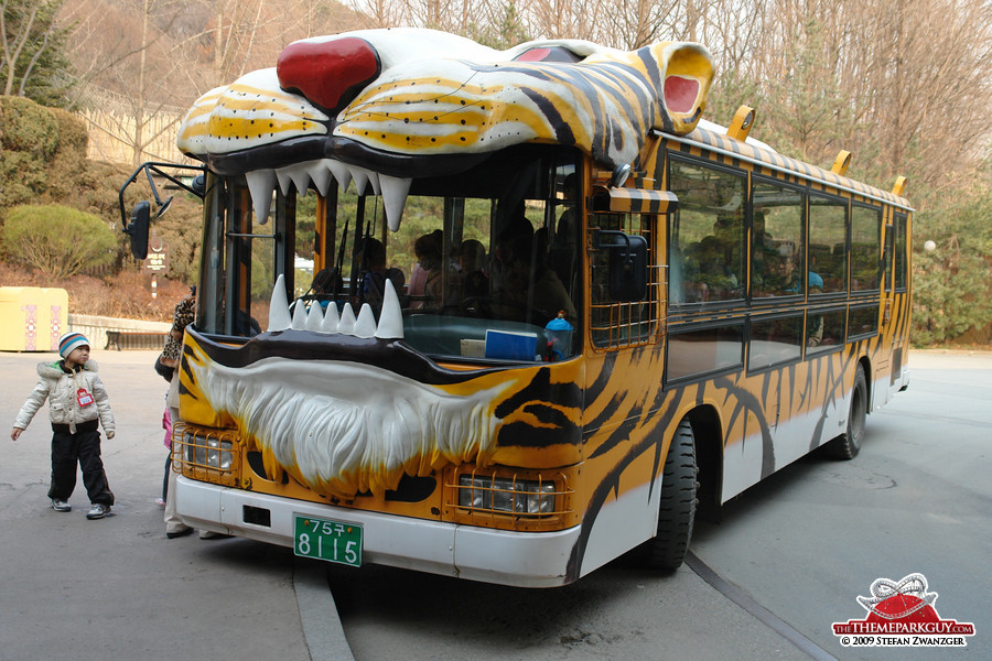 Safari bus