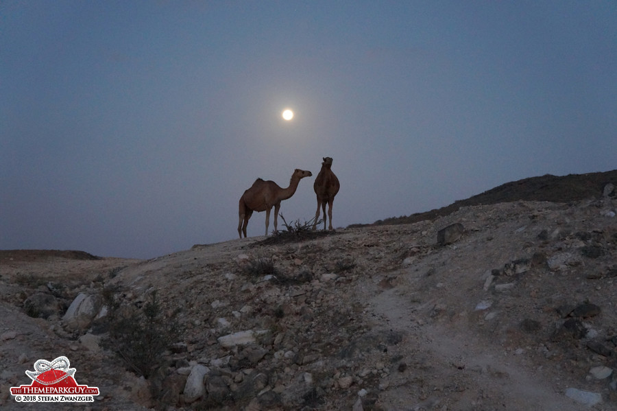 Night settling in the Garden of Eden