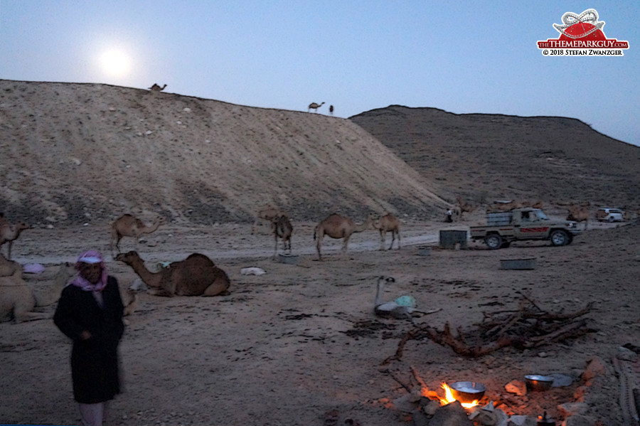The groundedness of Bedouin life