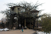 Happy Valley Beijing tree house