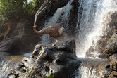 Jungle Cruise animatronics