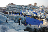 Ice Land Water Park in operation