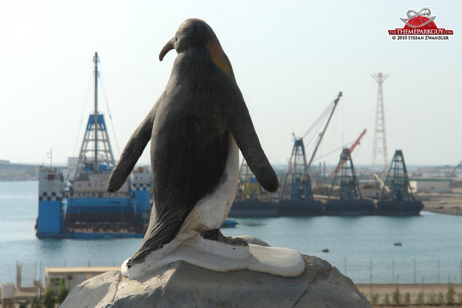 Penguins in Ras al-Khaimah