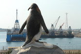 Penguins in Ras al-Khaimah