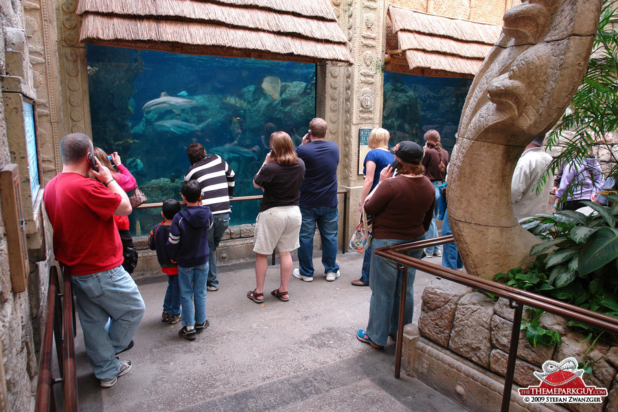 Aquariums inside Mandalay Bay