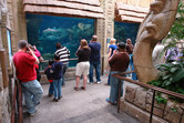 Aquariums inside Mandalay Bay