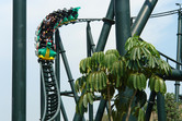 Coaster drop close-up