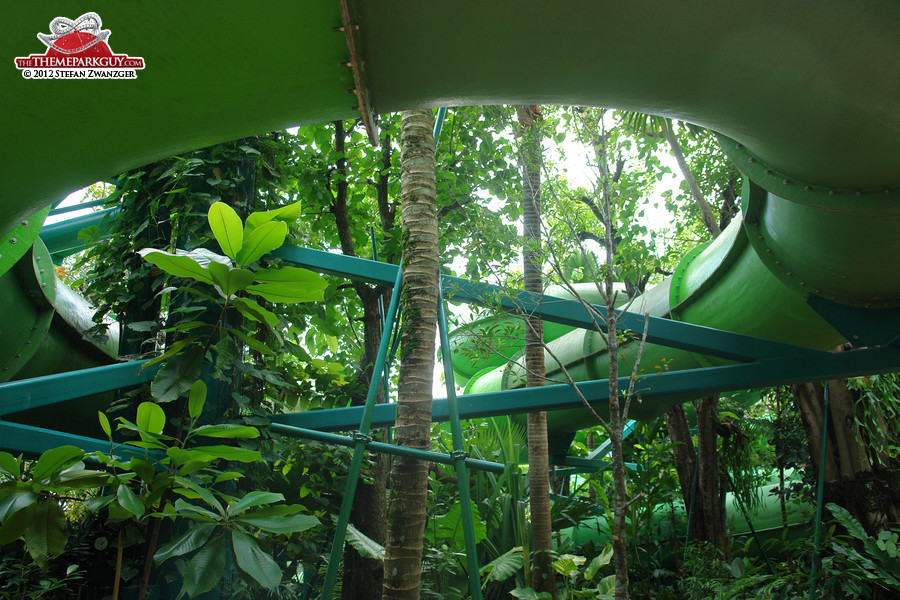 Slides through the jungle