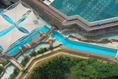 Lazy river meets dolphin pool