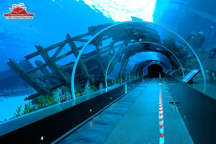 Tunnel through the shark pool