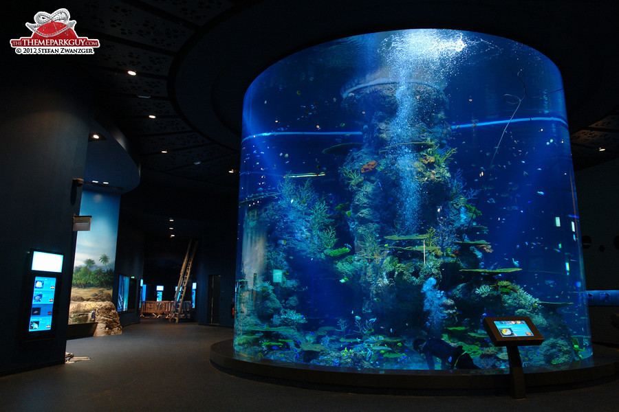 Inside Southeast Asia Aquarium