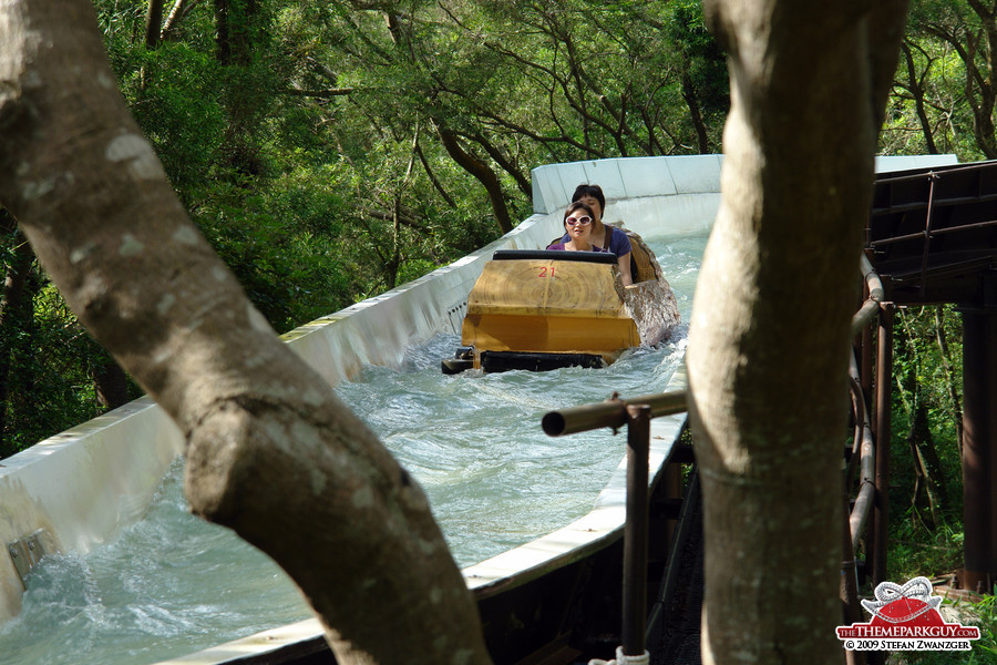 Log flume ride in the woods